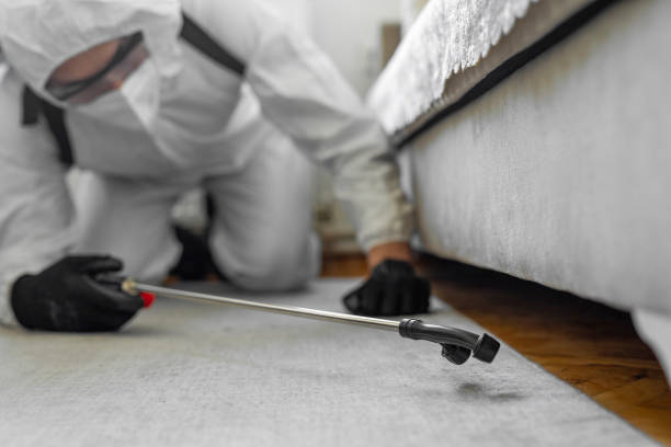 Professional Bed Bug Control technician working in Choctaw County County, OK